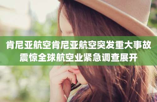 肯尼亚航空肯尼亚航空突发重大事故震惊全球航空业紧急调查展开