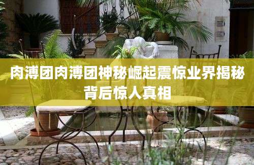肉溥团肉溥团神秘崛起震惊业界揭秘背后惊人真相