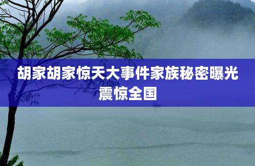 胡家胡家惊天大事件家族秘密曝光震惊全国