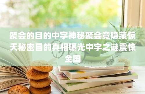 聚会的目的中字神秘聚会竟隐藏惊天秘密目的真相曝光中字之谜震惊全国