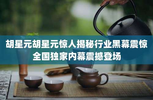 胡星元胡星元惊人揭秘行业黑幕震惊全国独家内幕震撼登场