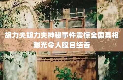 胡力夫胡力夫神秘事件震惊全国真相曝光令人瞠目结舌