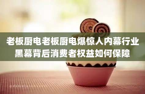 老板厨电老板厨电爆惊人内幕行业黑幕背后消费者权益如何保障