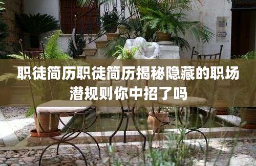 职徒简历职徒简历揭秘隐藏的职场潜规则你中招了吗