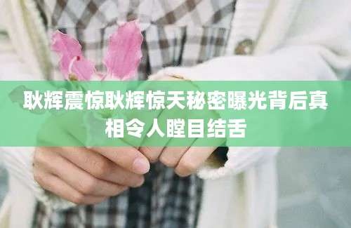 耿辉震惊耿辉惊天秘密曝光背后真相令人瞠目结舌