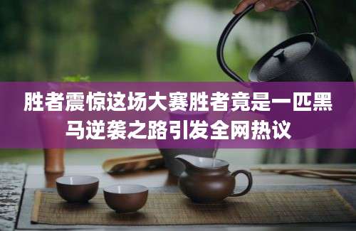 胜者震惊这场大赛胜者竟是一匹黑马逆袭之路引发全网热议