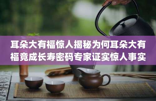 耳朵大有福惊人揭秘为何耳朵大有福竟成长寿密码专家证实惊人事实