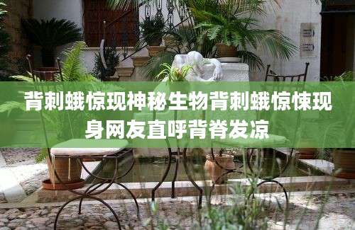 背刺蛾惊现神秘生物背刺蛾惊悚现身网友直呼背脊发凉