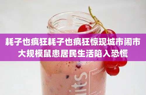 耗子也疯狂耗子也疯狂惊现城市闹市大规模鼠患居民生活陷入恐慌