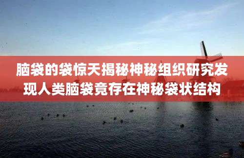 脑袋的袋惊天揭秘神秘组织研究发现人类脑袋竟存在神秘袋状结构