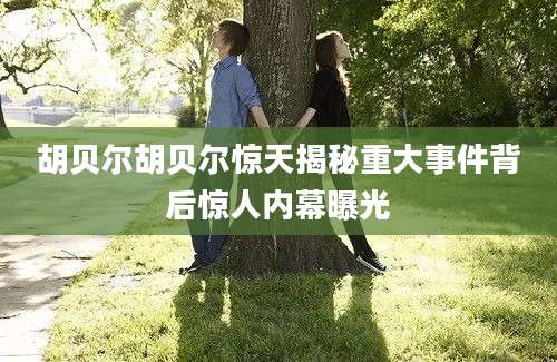 胡贝尔胡贝尔惊天揭秘重大事件背后惊人内幕曝光