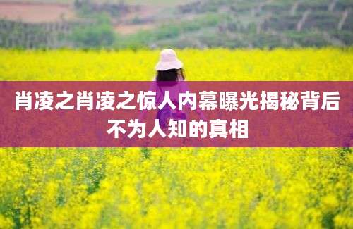 肖凌之肖凌之惊人内幕曝光揭秘背后不为人知的真相