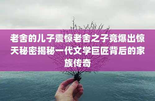 老舍的儿子震惊老舍之子竟爆出惊天秘密揭秘一代文学巨匠背后的家族传奇