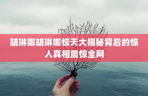 胡琳娜胡琳娜惊天大揭秘背后的惊人真相震惊全网
