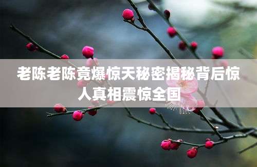 老陈老陈竟爆惊天秘密揭秘背后惊人真相震惊全国