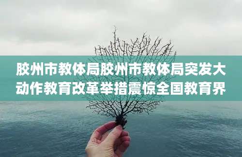 胶州市教体局胶州市教体局突发大动作教育改革举措震惊全国教育界