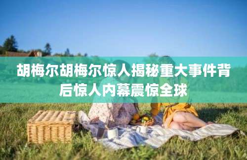 胡梅尔胡梅尔惊人揭秘重大事件背后惊人内幕震惊全球
