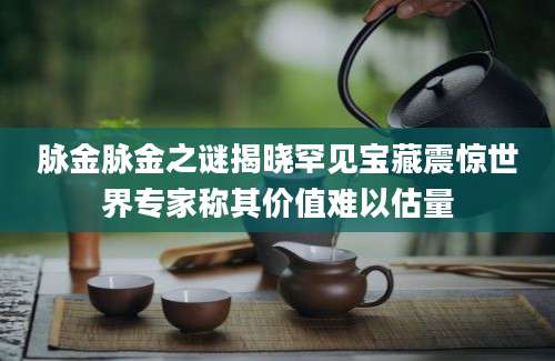 脉金脉金之谜揭晓罕见宝藏震惊世界专家称其价值难以估量
