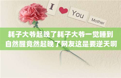 耗子大爷起晚了耗子大爷一觉睡到自然醒竟然起晚了网友这是要逆天啊