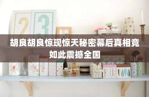 胡良胡良惊现惊天秘密幕后真相竟如此震撼全国