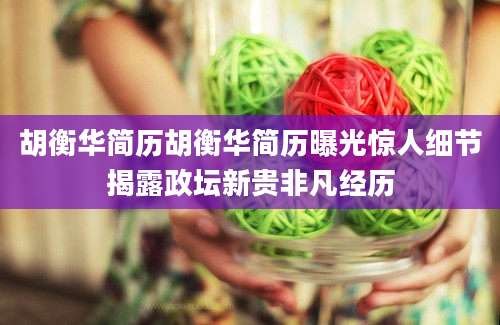 胡衡华简历胡衡华简历曝光惊人细节揭露政坛新贵非凡经历