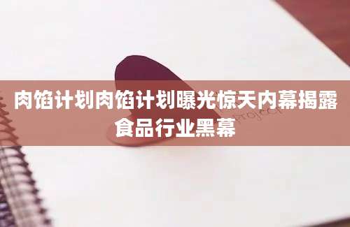 肉馅计划肉馅计划曝光惊天内幕揭露食品行业黑幕
