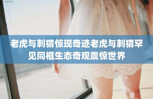 老虎与刺猬惊现奇迹老虎与刺猬罕见同框生态奇观震惊世界