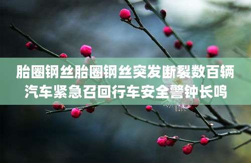 胎圈钢丝胎圈钢丝突发断裂数百辆汽车紧急召回行车安全警钟长鸣