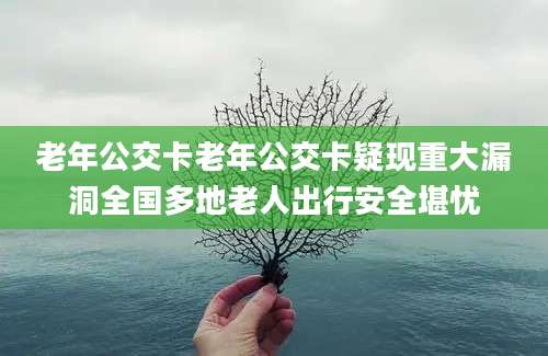 老年公交卡老年公交卡疑现重大漏洞全国多地老人出行安全堪忧