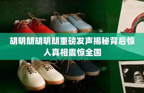 胡明朗胡明朗重磅发声揭秘背后惊人真相震惊全国
