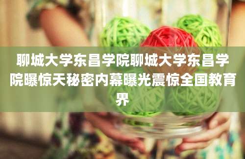 聊城大学东昌学院聊城大学东昌学院曝惊天秘密内幕曝光震惊全国教育界