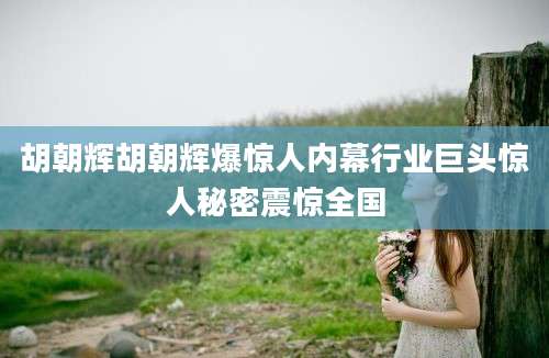 胡朝辉胡朝辉爆惊人内幕行业巨头惊人秘密震惊全国