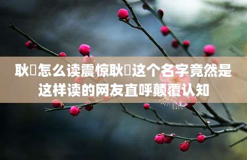 耿弇怎么读震惊耿弇这个名字竟然是这样读的网友直呼颠覆认知