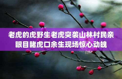 老虎的虎野生老虎突袭山林村民亲眼目睹虎口余生现场惊心动魄