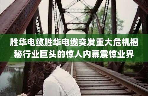 胜华电缆胜华电缆突发重大危机揭秘行业巨头的惊人内幕震惊业界