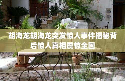 胡海龙胡海龙突发惊人事件揭秘背后惊人真相震惊全国