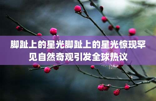 脚趾上的星光脚趾上的星光惊现罕见自然奇观引发全球热议