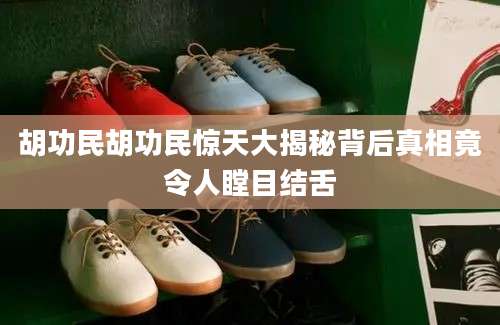 胡功民胡功民惊天大揭秘背后真相竟令人瞠目结舌