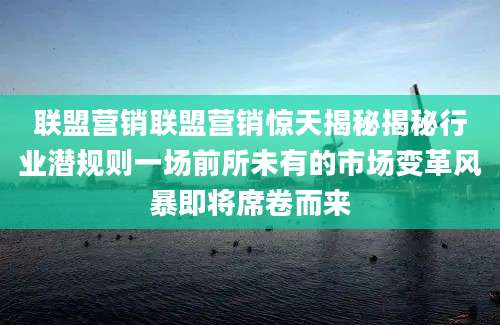 联盟营销联盟营销惊天揭秘揭秘行业潜规则一场前所未有的市场变革风暴即将席卷而来