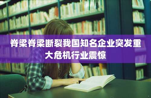 脊梁脊梁断裂我国知名企业突发重大危机行业震惊