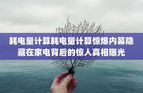 耗电量计算耗电量计算惊爆内幕隐藏在家电背后的惊人真相曝光