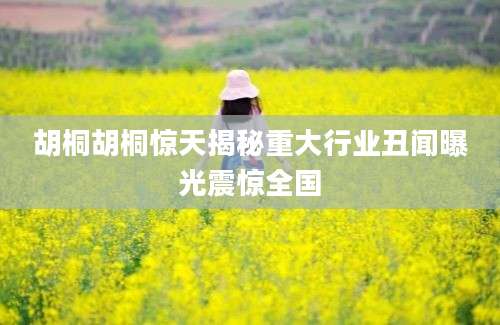 胡桐胡桐惊天揭秘重大行业丑闻曝光震惊全国