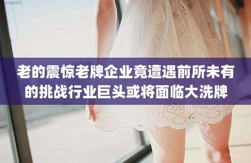 老的震惊老牌企业竟遭遇前所未有的挑战行业巨头或将面临大洗牌