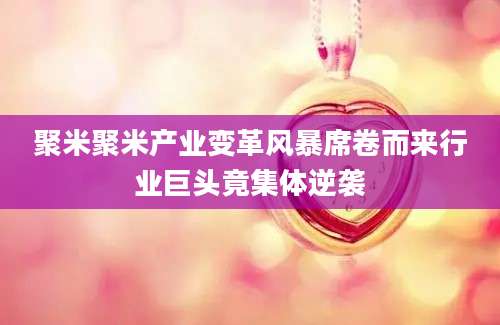 聚米聚米产业变革风暴席卷而来行业巨头竟集体逆袭