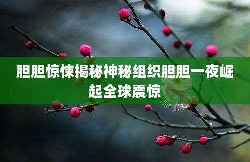胆胆惊悚揭秘神秘组织胆胆一夜崛起全球震惊