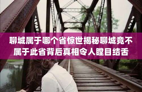 聊城属于哪个省惊世揭秘聊城竟不属于此省背后真相令人瞠目结舌