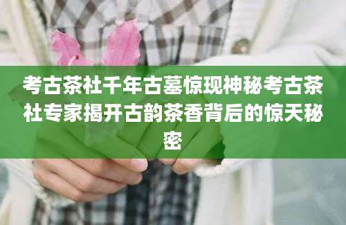 考古茶社千年古墓惊现神秘考古茶社专家揭开古韵茶香背后的惊天秘密