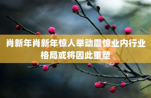 肖新年肖新年惊人举动震惊业内行业格局或将因此重塑