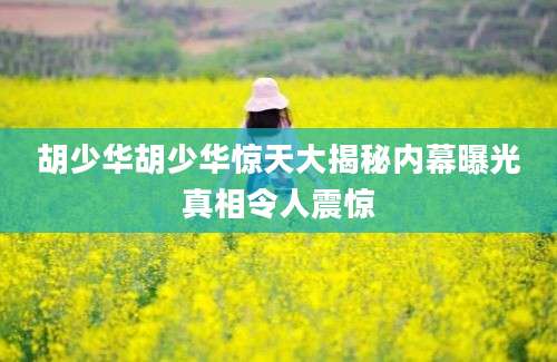 胡少华胡少华惊天大揭秘内幕曝光真相令人震惊