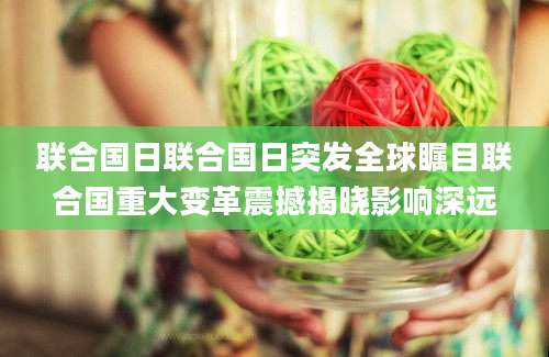 联合国日联合国日突发全球瞩目联合国重大变革震撼揭晓影响深远